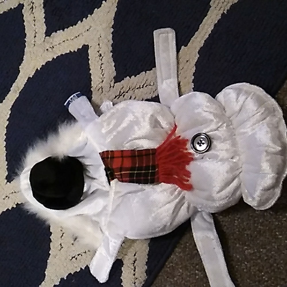 Dogs snowman Halloween costume size small.